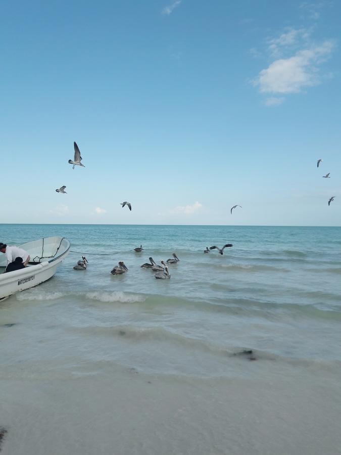 Hostel La Isla Holbox Exterior photo